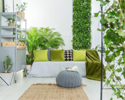 bat-mi-cong-dung-cua-cay-xanh-trong-khong-gian-song